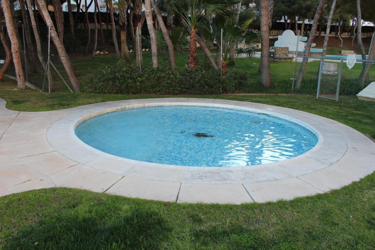 New Apartment With Sea View Of Andrew And Natallia Campoamor Esterno foto